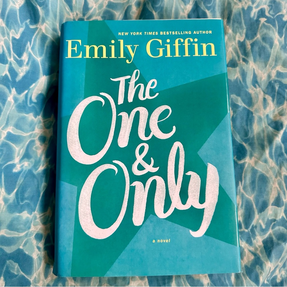 The One & Only Emily Giffin Hardcover Novel 2014‎ NYT Bestseller Womens Fiction